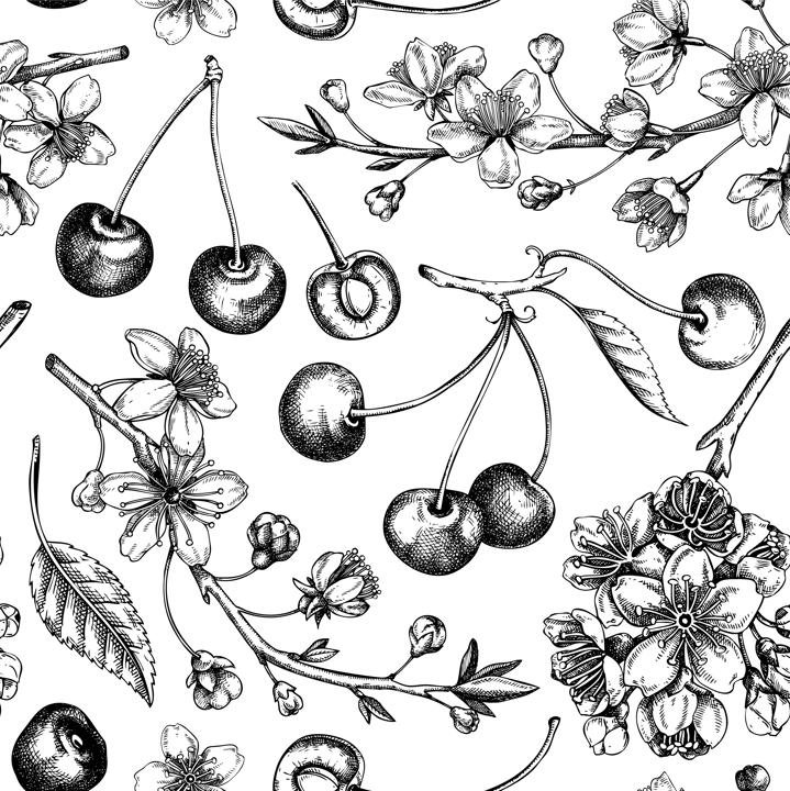Berry fruit background. Cherry berries, leaves, flowers sketches. Cherry blossom hand-drawn vector illustration. Floral seamless pattern. NOT AI genereted